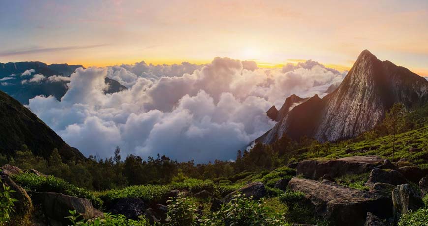 The Green Corridor Cochin - Munnar - Thekkady - Kumarakom - Cochin
